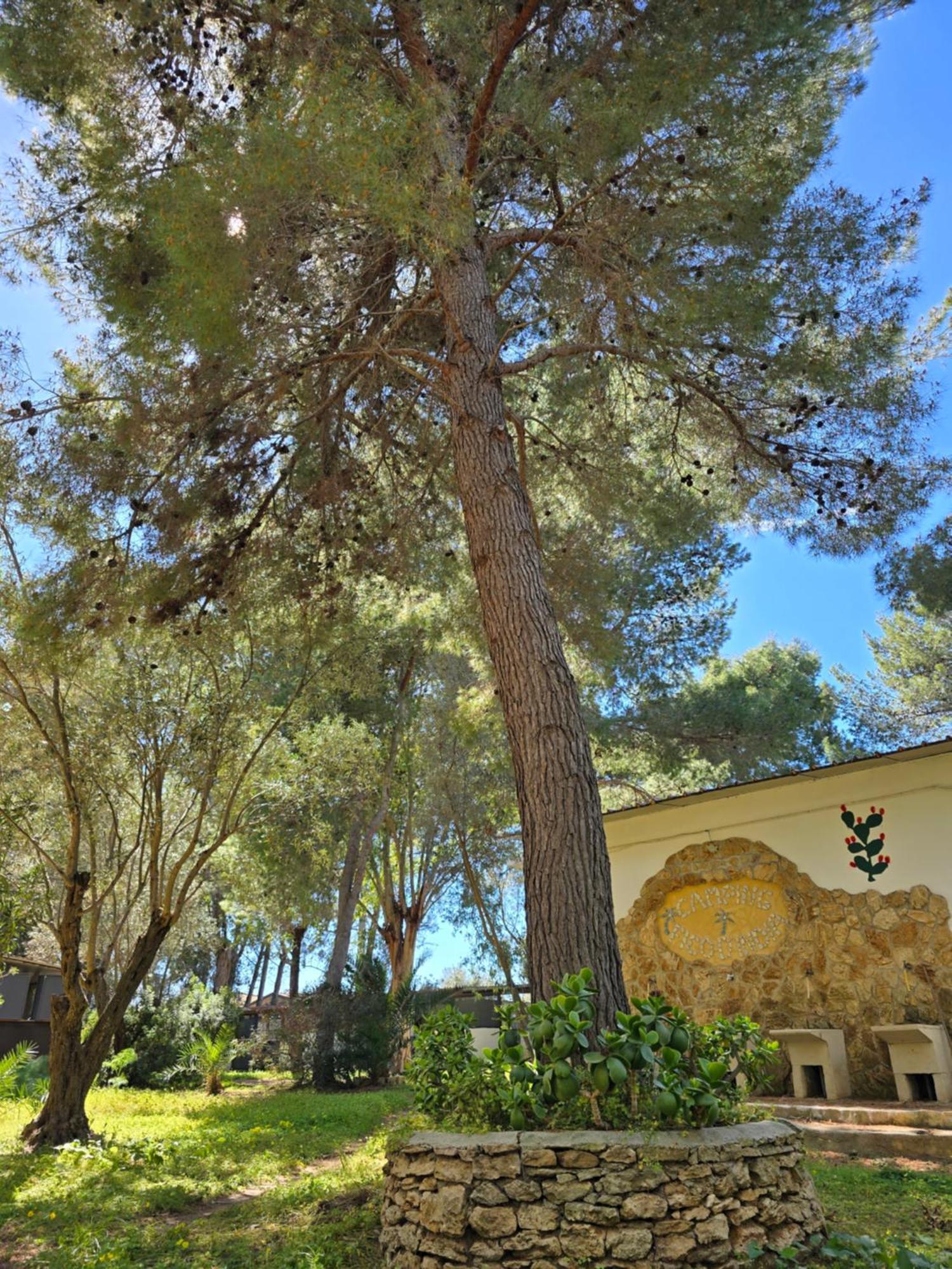 Village Camping Fico D'India Ovile la Marina Exterior foto